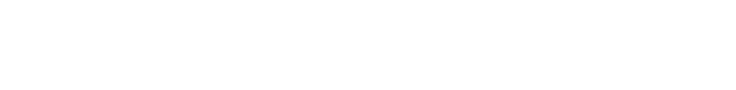 silknet_presents